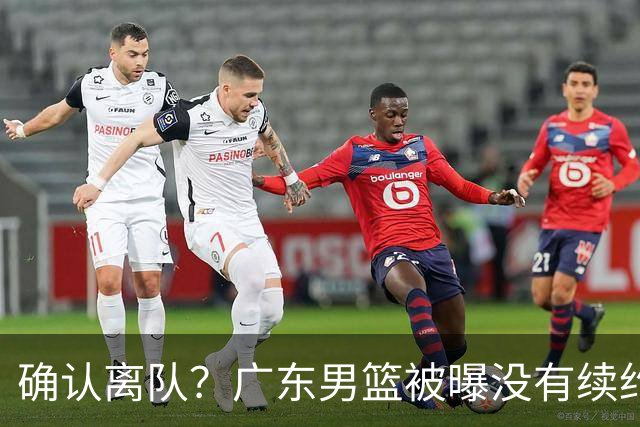 确认离队？广东男篮被曝没有续约杜锋，新主教练人选正式曝光！